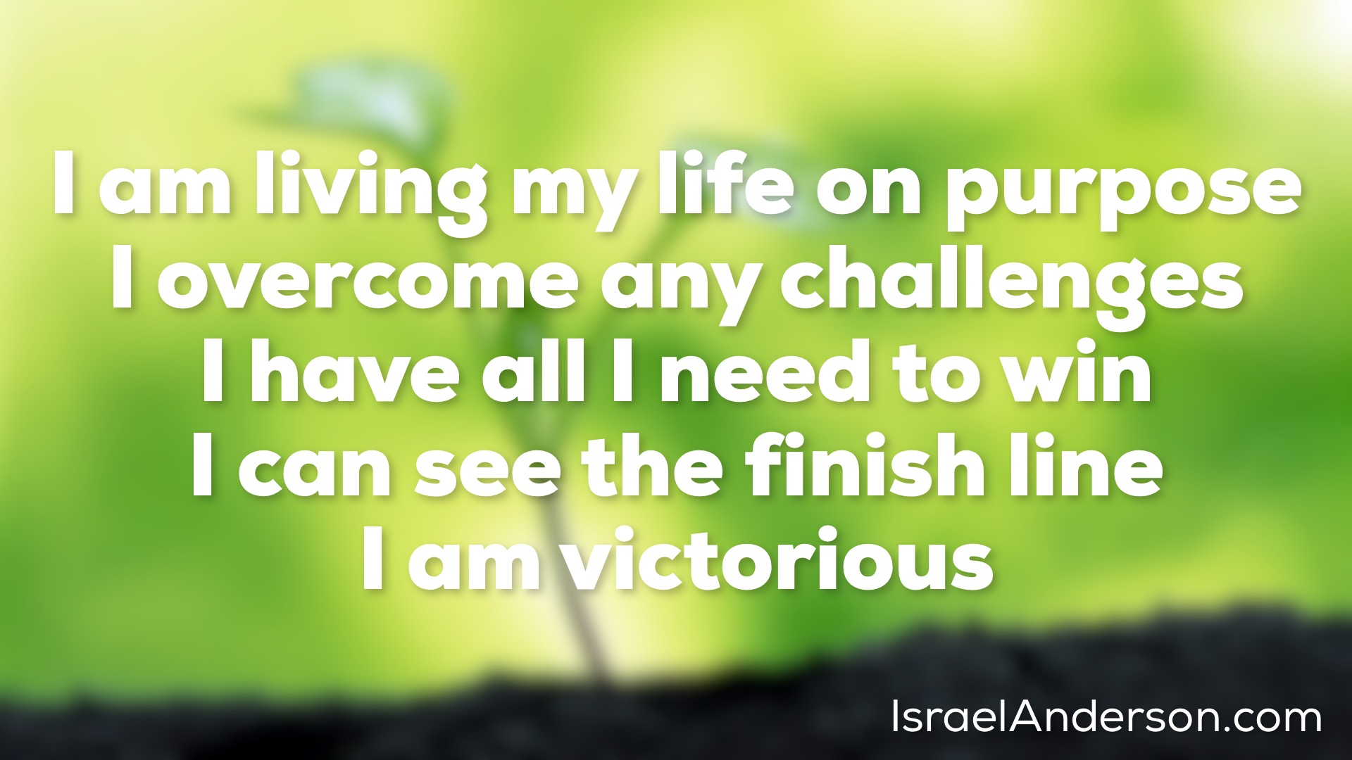 I am living my life on purpose I overcome any challenges I have all I need to win I can see the finish line I am victorious